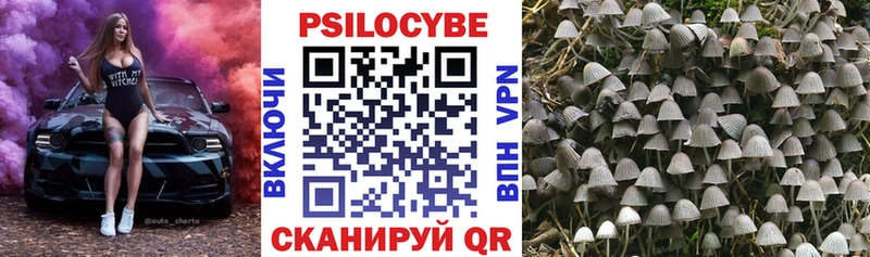 Псилоцибиновые грибы мицелий  закладка  mega tor  Ижевск 